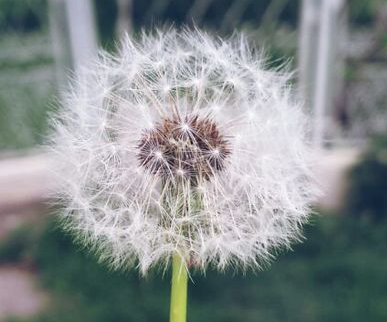 成都好点的睡眠麻醉人流医院是?