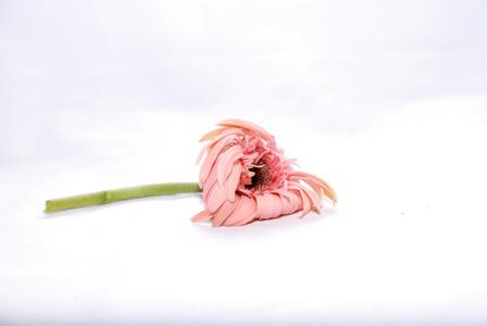 成都妇科医院做人流是怎么收费的?