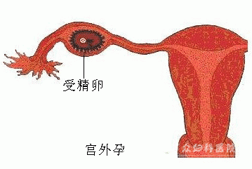 随州现代医院